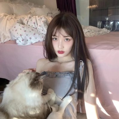 企鹅之岛：福克兰