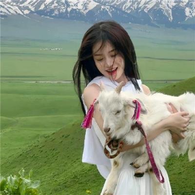 红杏出墙