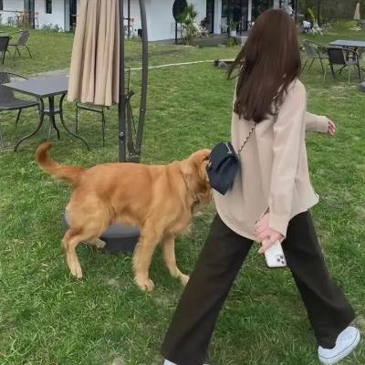 天赐的声音 第四季